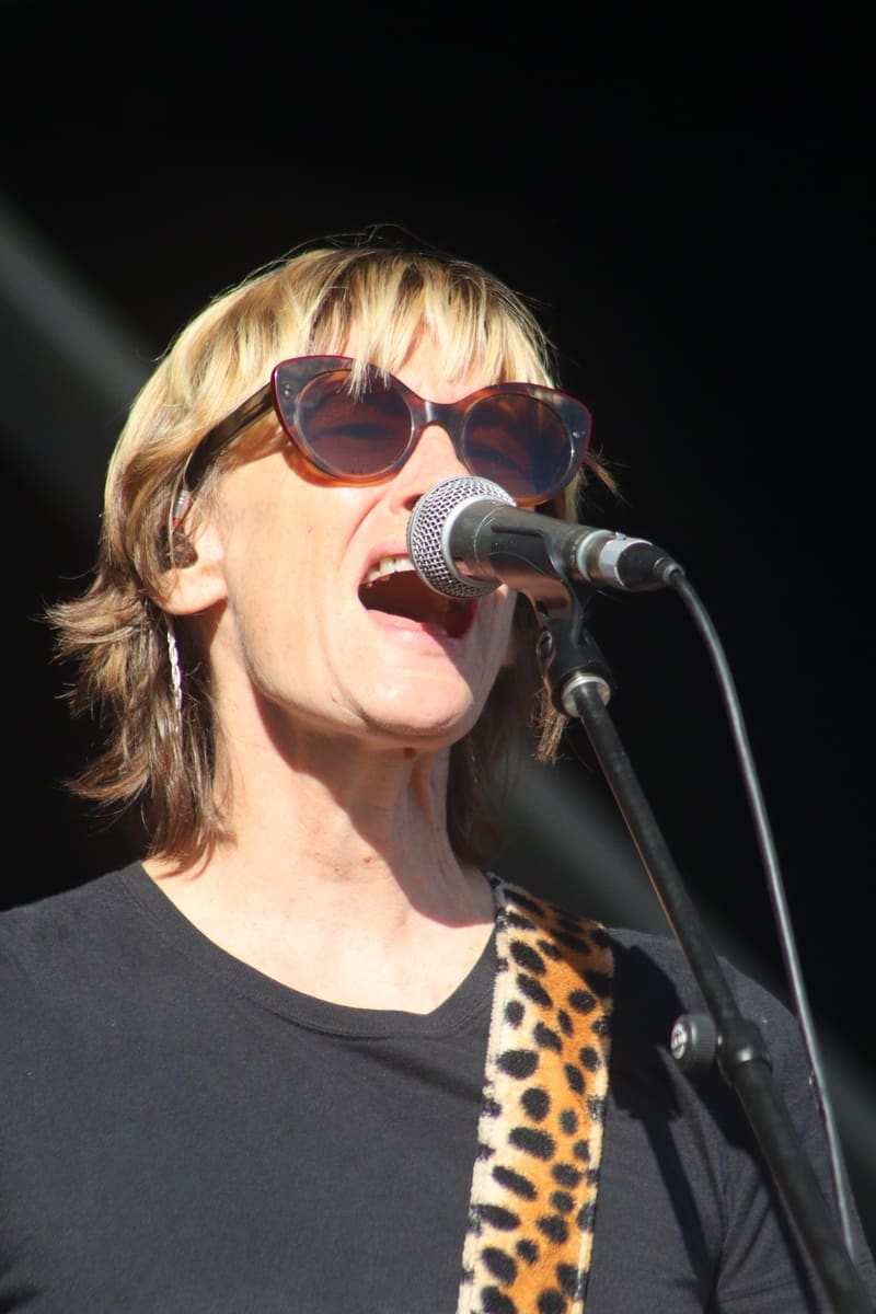 Spiderbait