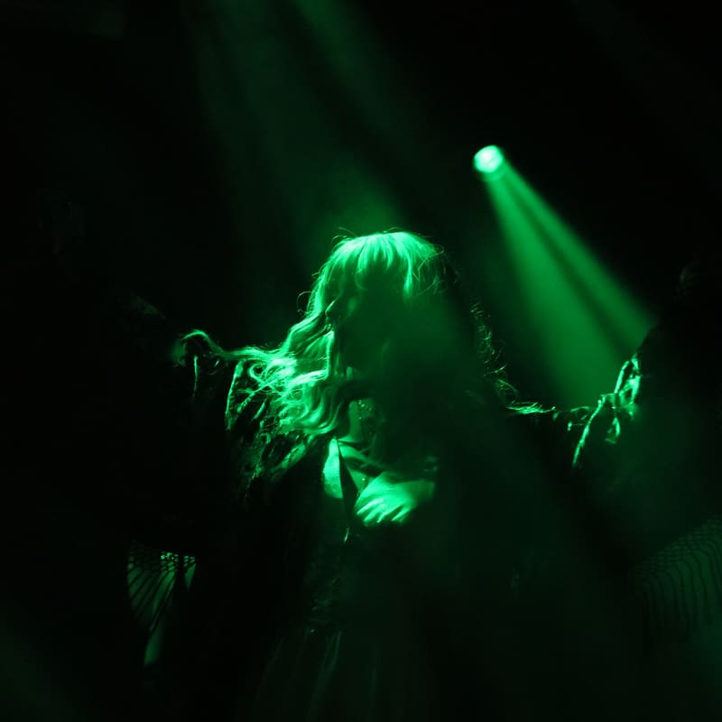 The Fleetwood Mac Experience