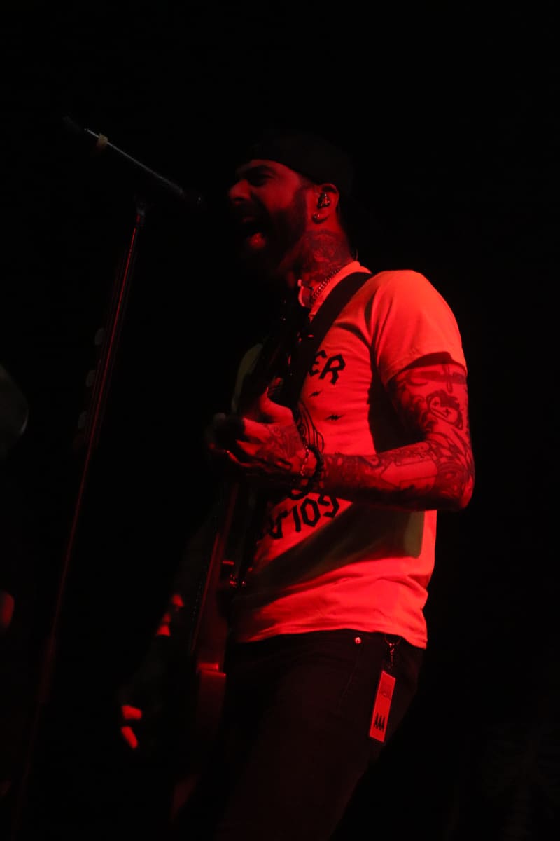Zebrahead