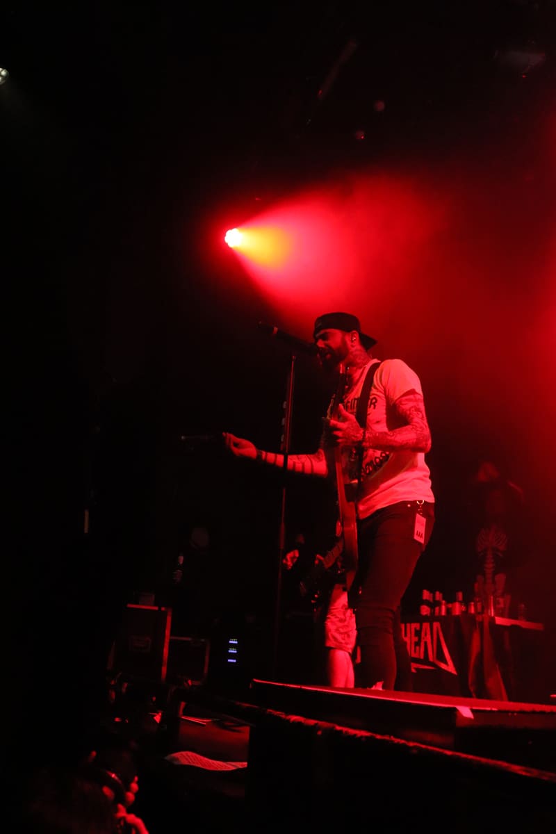 Zebrahead