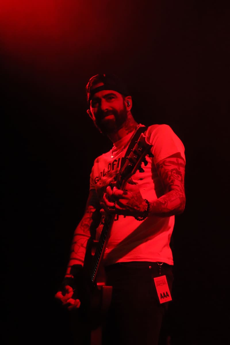 Zebrahead