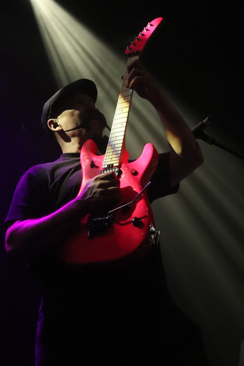 Zebrahead