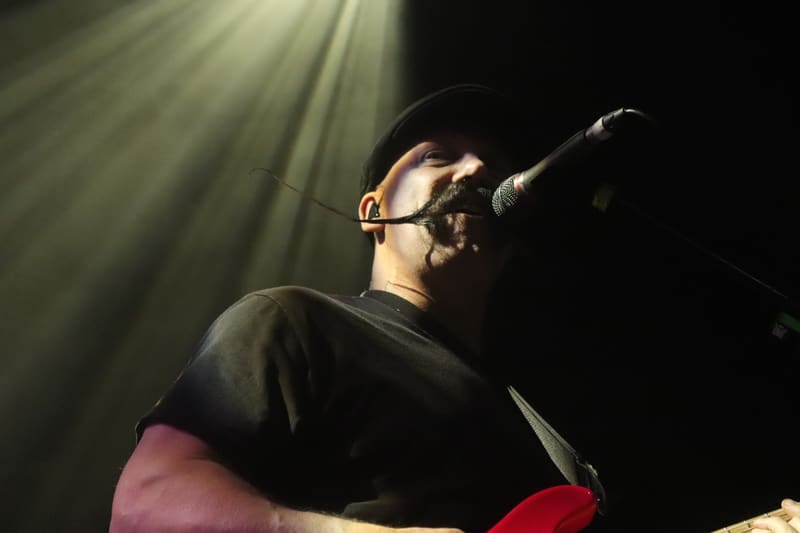 Zebrahead