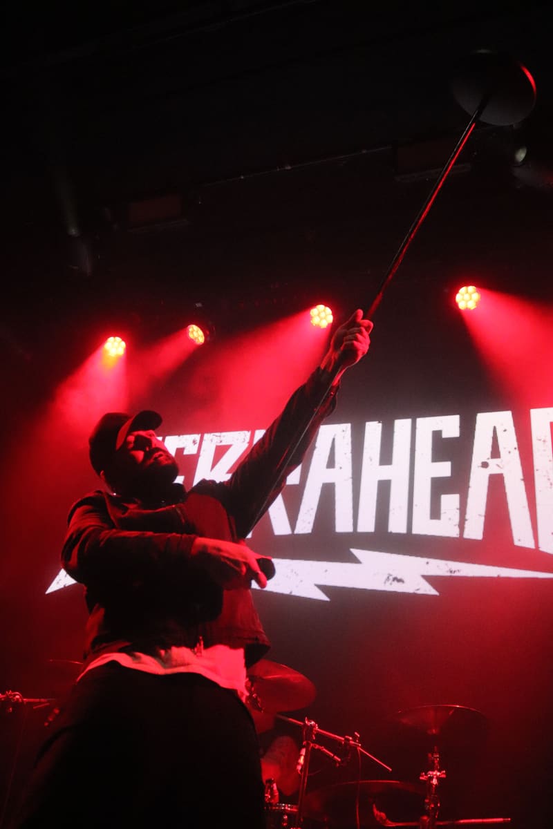 Zebrahead