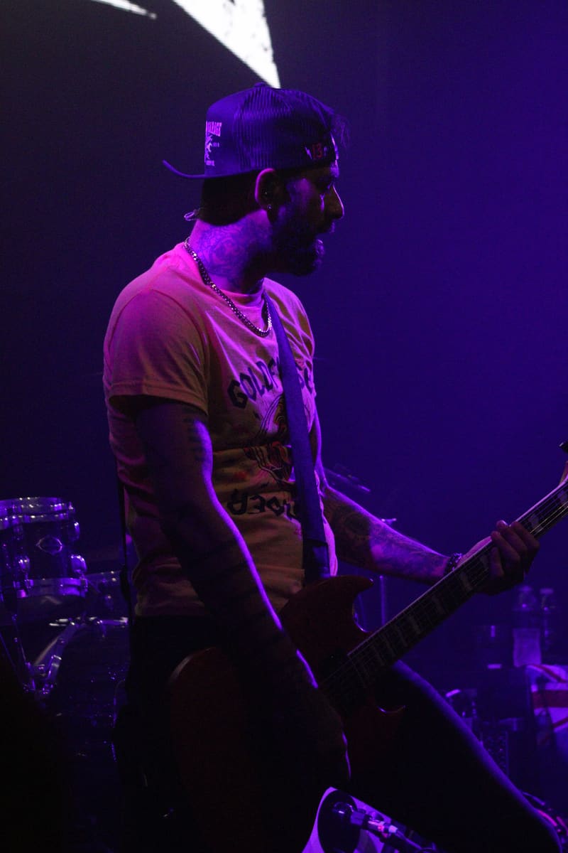 Zebrahead