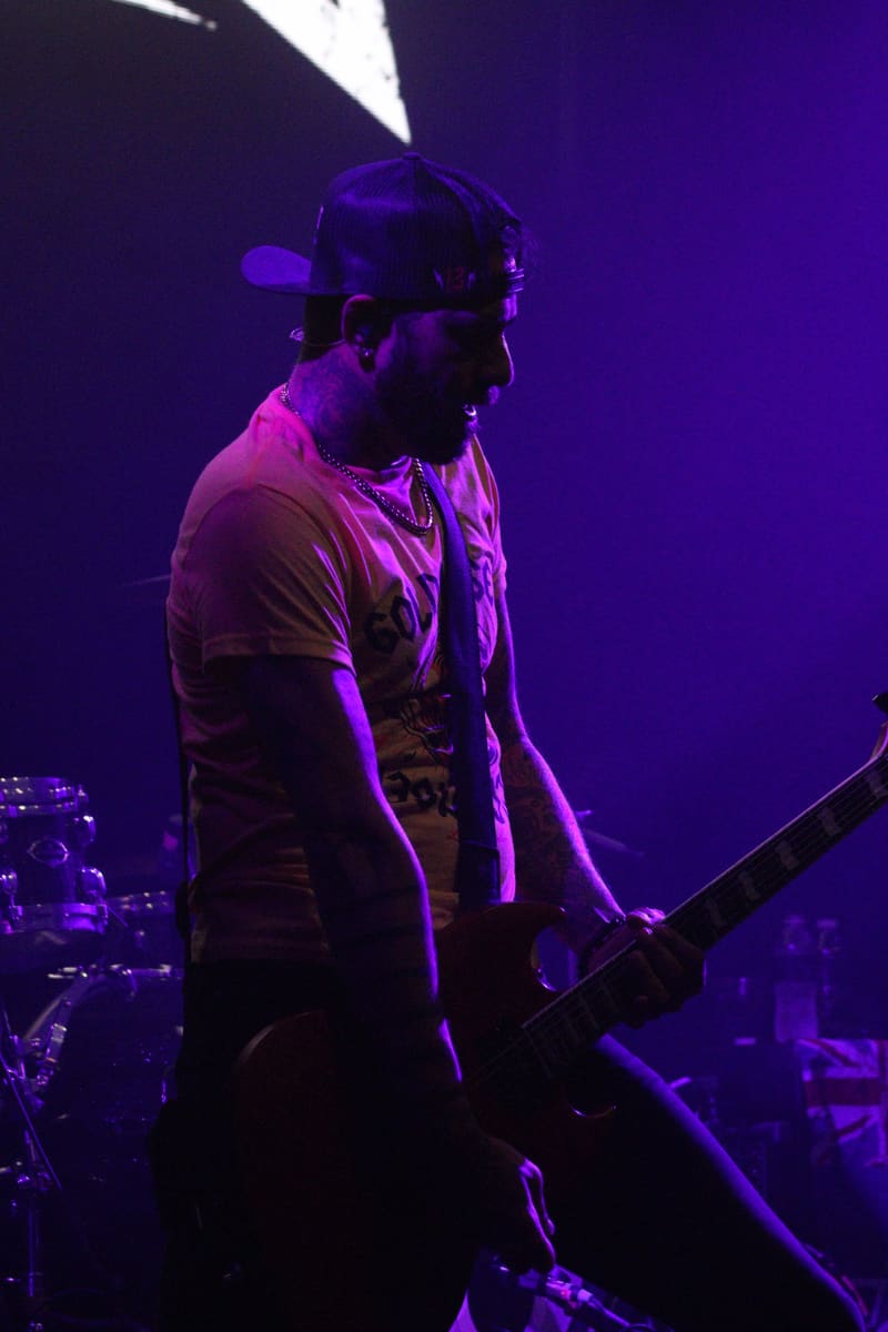 Zebrahead