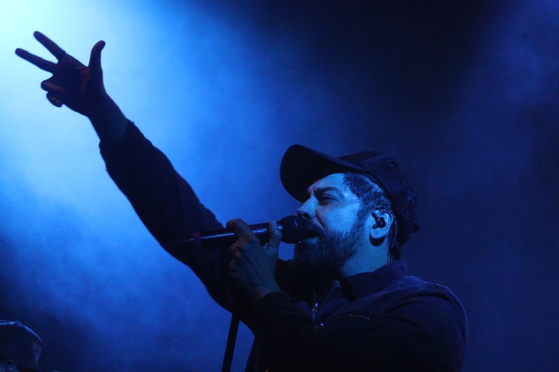 Zebrahead