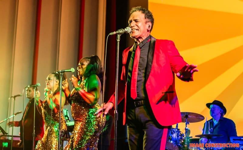 Dancing In The Shadows Of Motown