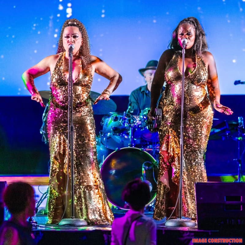Dancing In The Shadows Of Motown