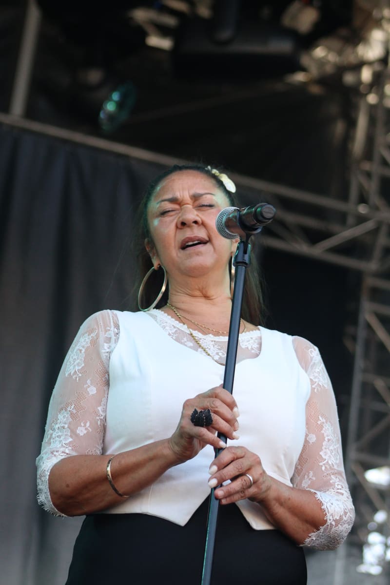 Mark Seymour With Vika & Linda Bull