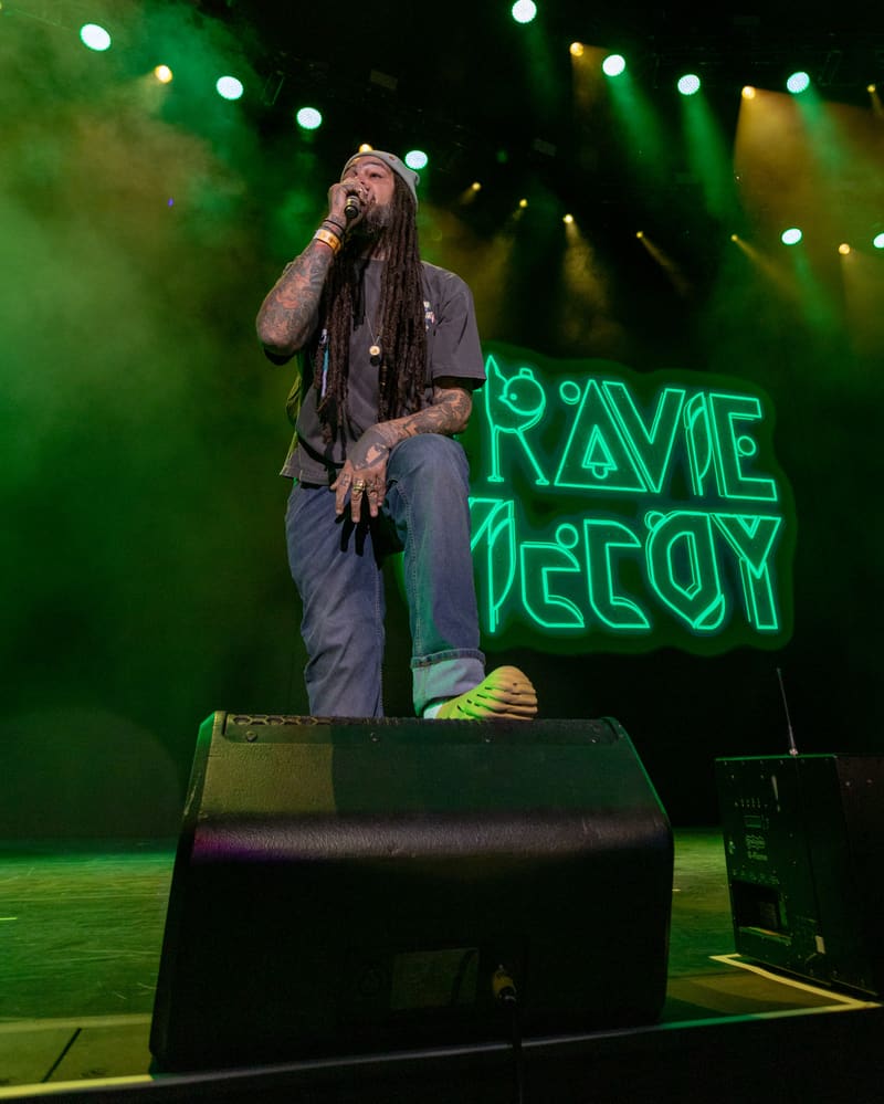 Performer with dreadlocks stands on a black platform, singing into a microphone, with green stage lighting and "RAVE DECOY" text display behind.