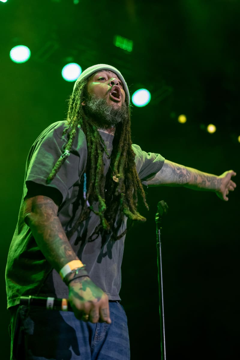 Performer with dreadlocks and beanie singing into microphone on stage under green stage lighting.