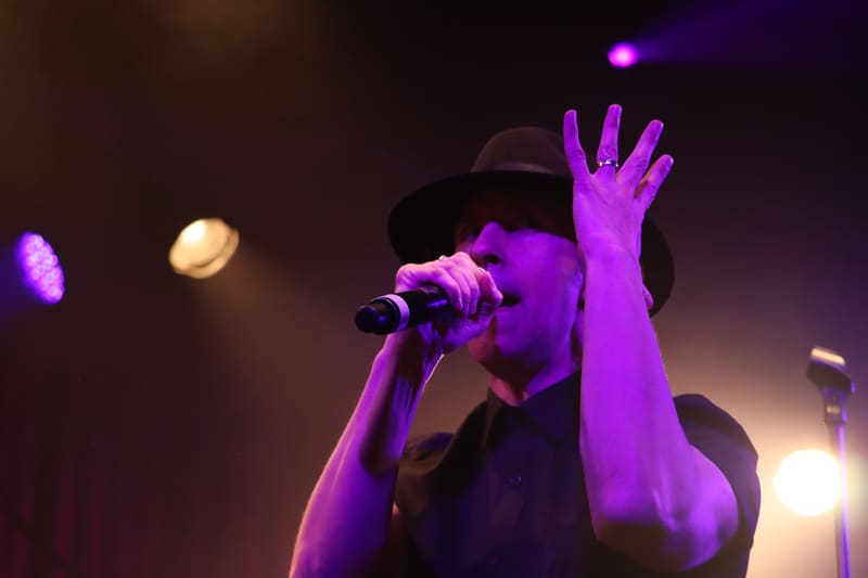 Maximo Park