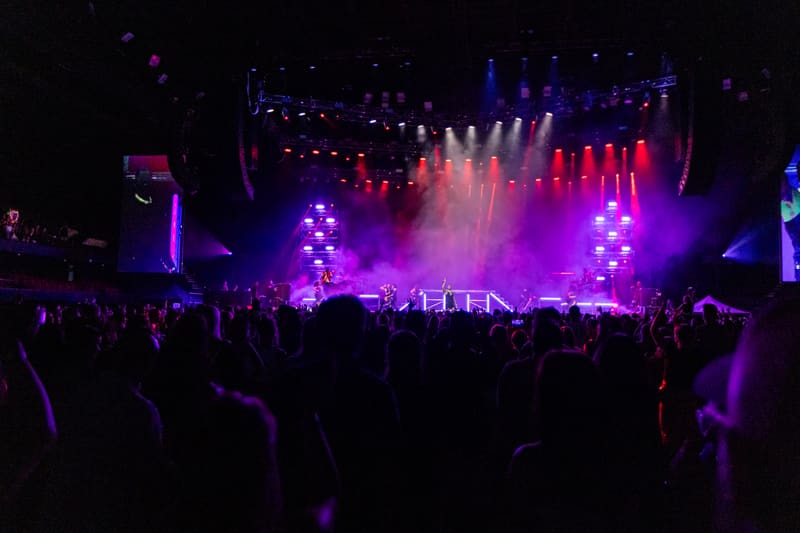 Performer on stage lit by purple and pink spotlights whilst crowd watches from the floor.