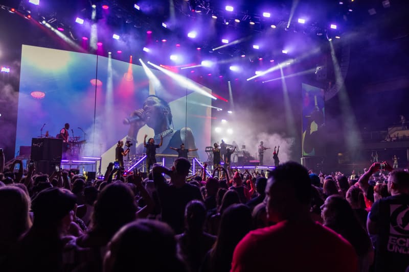 Performer on stage bathed in purple lighting with crowd silhouettes in foreground during concert.
