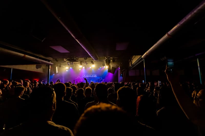 Wolfmother