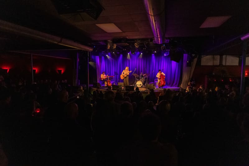 Martha Wainwright