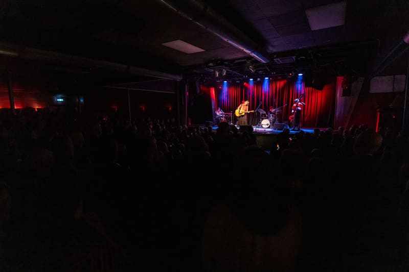 Martha Wainwright